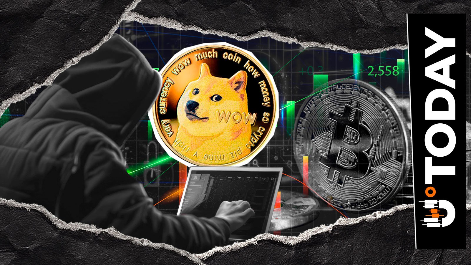 'Is Bitcoin Stupid?': Dogecoin (DOGE) Creator Reacts to BTC Price - U.Today | Crypto Hunter News Crypto News