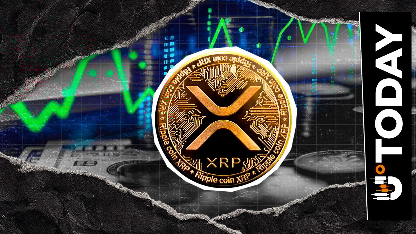 XRP Is Fundamentally Stronger Than Ever: Network Metrics Break Down - U.Today | Crypto Hunter News Crypto News
