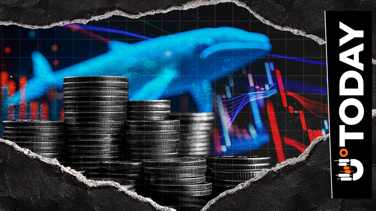 12 Liquidations in 12 Hours: Crypto Bloodbath Among Crypto Whales - U.Today | Crypto Hunter News Crypto News