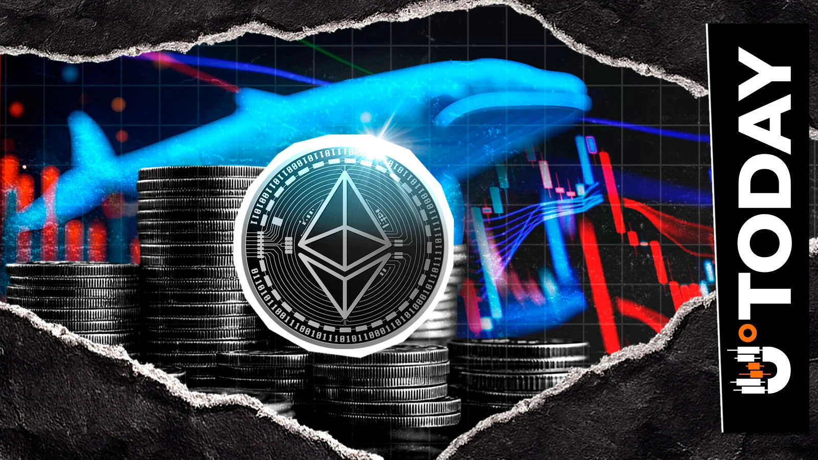 Is Ethereum to $5,000 Imminent? Enormous Whale Buying Spree Originates - U.Today | Crypto Hunter News Crypto News